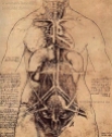 A woman's torso, ink drawing by Leonardo da Vinci, 1509-10.