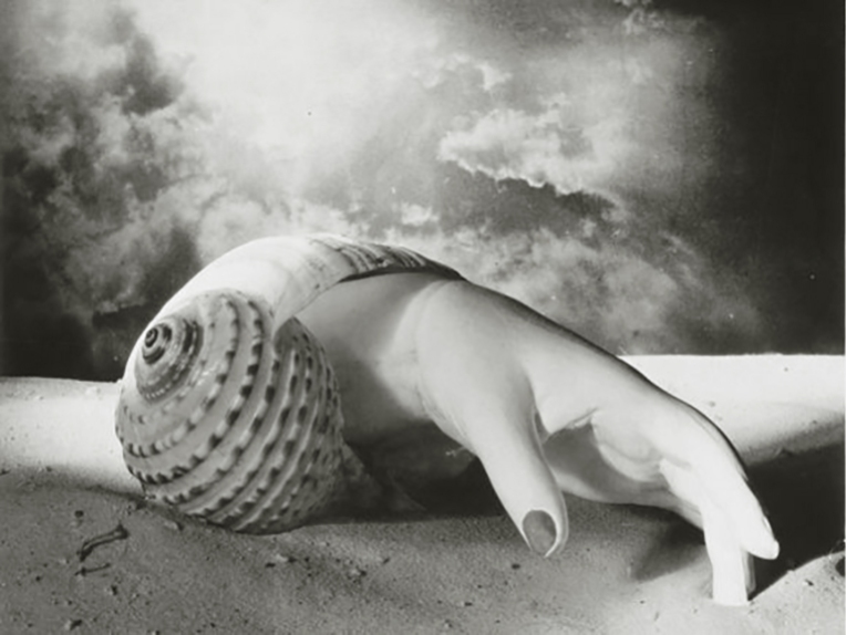 Hand and shell, by Dora Maar. Dora Maar, renowned Surrealist photographer and Picasso's fourth Muse and lover.