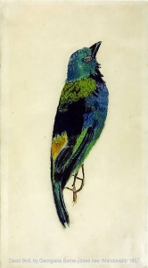 Dead Bird, by Georgiana Macdonald, later Georgiana Burne-Jones.